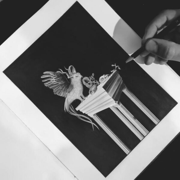 Pheonix bird illustration