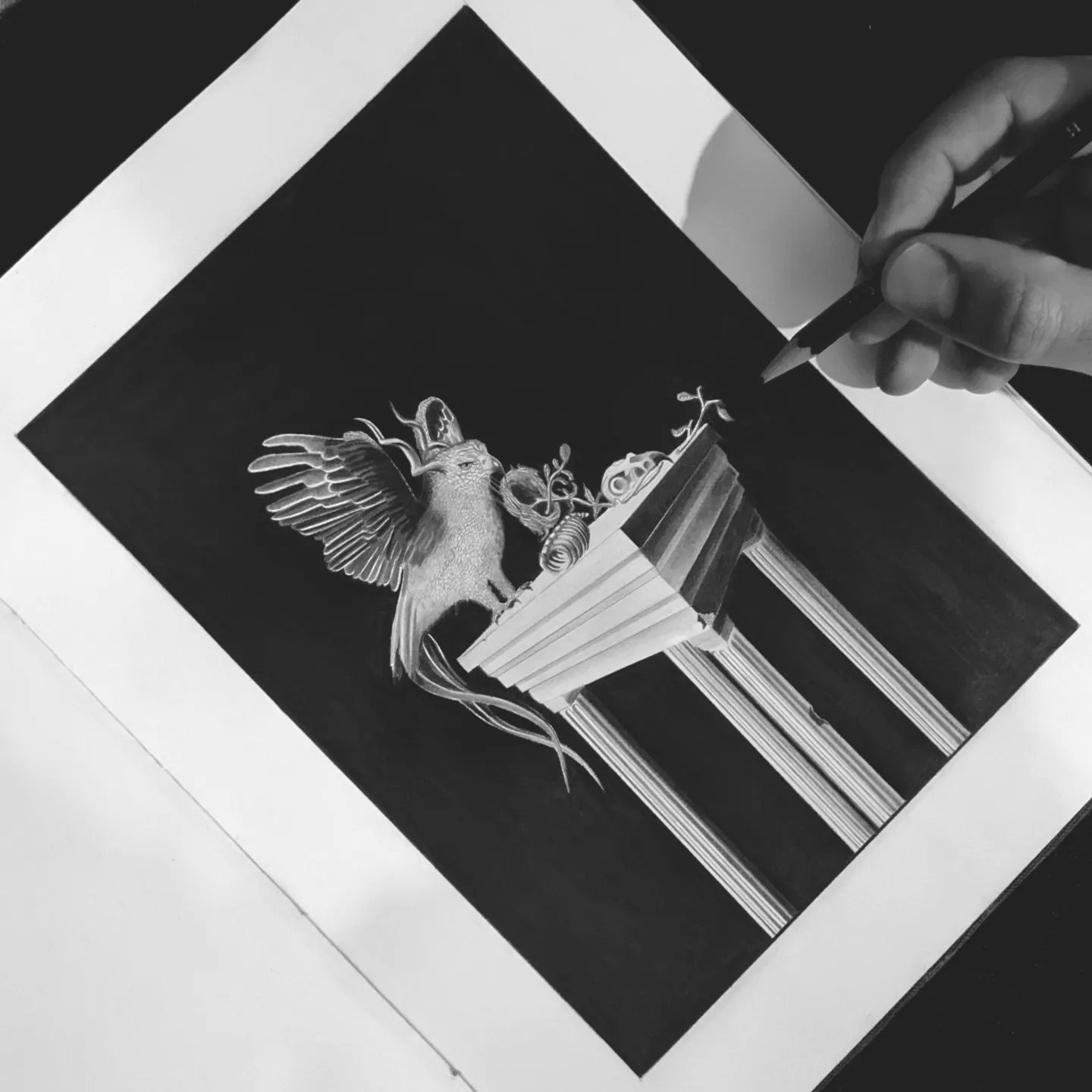 Pheonix bird illustration Pheonix bird illustration